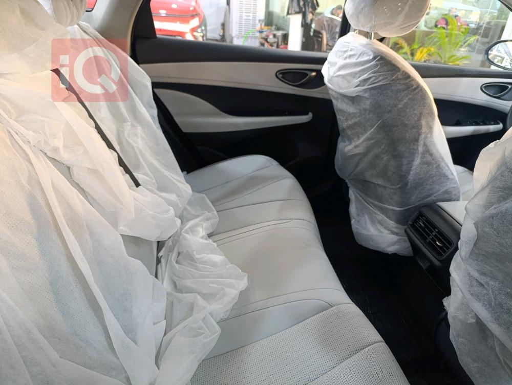 بي واي دي سيل 06 DM-i